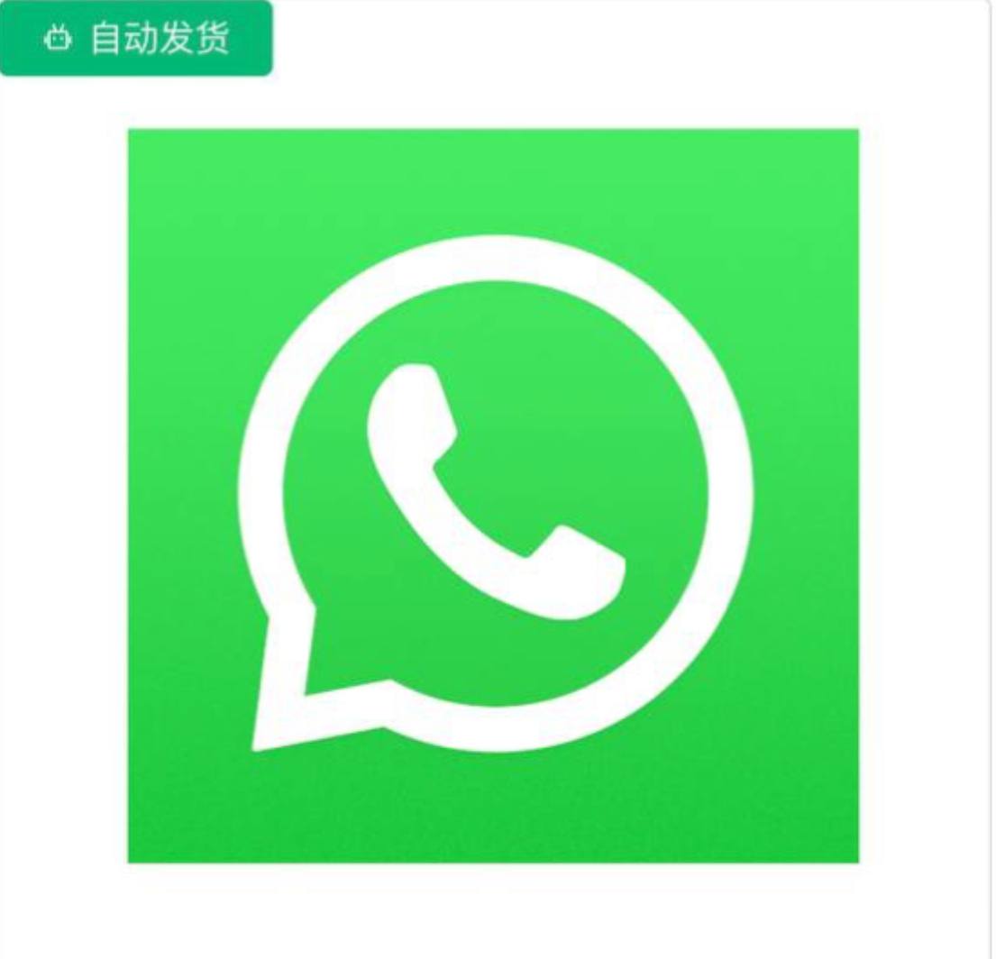 WhatsApp直登号（3-6月）
